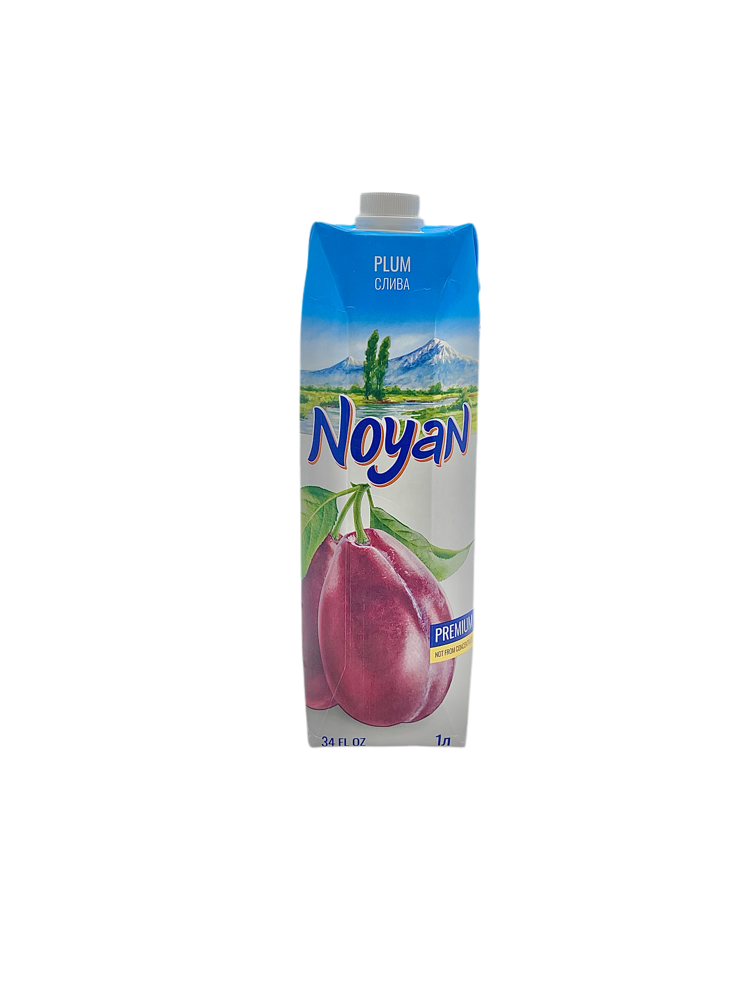 NOYAN - JUS DE PRUNE - 1L