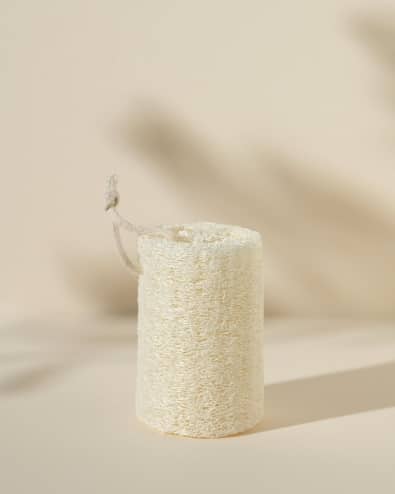 ALEPIA - LOOFA NATURELLE CYLINDRIQUE