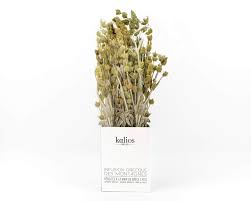 KALIOS - THÉ SAUVAGE EN BRANCHES - 40g